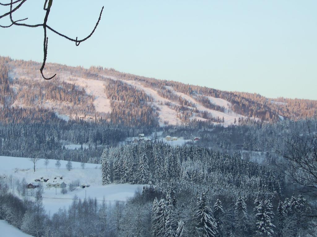 Sogn Gjestegard Svarstad  Zimmer foto
