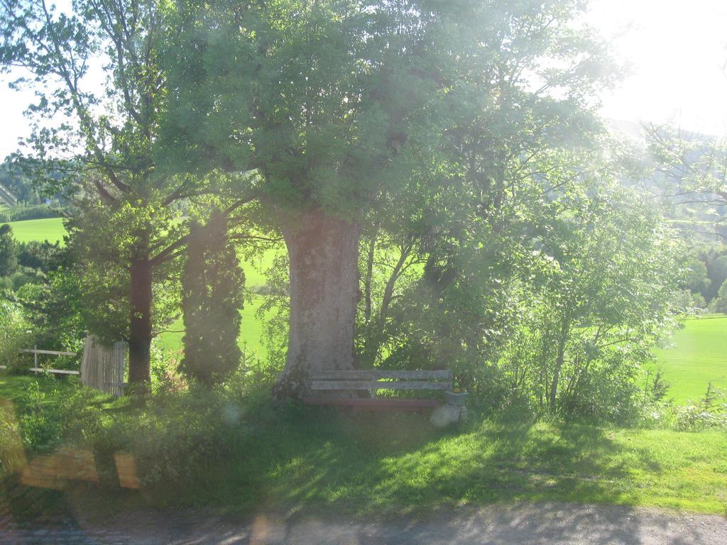 Sogn Gjestegard Svarstad  Zimmer foto