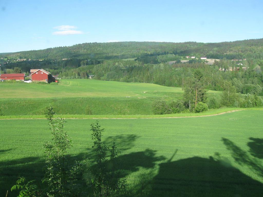 Sogn Gjestegard Svarstad  Zimmer foto